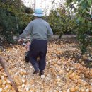 구본권농장 이미지