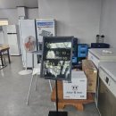수원 곡반정동 7년 단골 맛집 대경감자탕