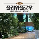 서울레저항공㈜ | 소노그룹 플라워플로우, 마곡나루 신상 대형카페 주말 방문 주차 후기