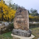 다미안의원 티스토리