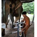 동물을 사랑하는 사람들 이미지