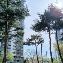 뜨란채 공인중개사사무소 | 율전동 뜨란채공인중개사사무소 │요즘 이 단지 문의가 다시 늘어나는 이유