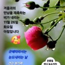 ★ 병의 90%를 없애는 방법 ★ 이미지