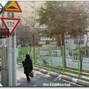 제철초등학교 이미지