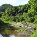 포천한탄강하늘다리 이미지