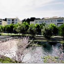 세곡공인중개사사무소 이미지