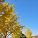 남한강자전거길 13 이미지