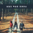 비펑크뮤직실용음악학원