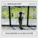 기장 실내 아이랑 가볼만한곳 물감놀이 누누키즈드로잉 후기부터 근처 식당 추천까지