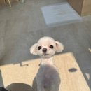 써니몽 이미지