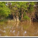 우포늪생태공원 이미지