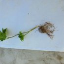 금산4구 이미지