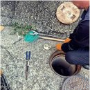 행복한일상 이미지