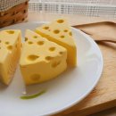 치즈 효능 8가지 14종류 이미지