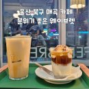울산 북구 매곡 카페 분위기 좋은 웨이브렛
