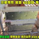 남용농장 Daum카페