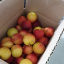 삼우농장 이미지