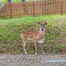 비성회관 이미지