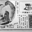 [김명환의 시간여행] [34] 50년 전엔 상어 지느러미가 비료 원료 이미지