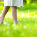 숲속의 펜션 이미지