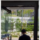 봉수아피자칠곡점 | 대구 옥포 봉수아피자 1000mm 원모터 에어커튼 설치후기