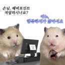국립수산물품질관리원