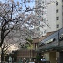 연서로48길 | 은평한옥마을 근처 카페 [카페 떠리], 은평구 조용한 카페 가성비 커피 맛집 은평구 카페 추천 애견...