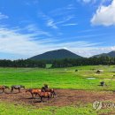 추진목장 이미지