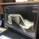 한양동물병원 이미지