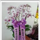 서문성터길 이미지