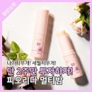 피오리다 이미지