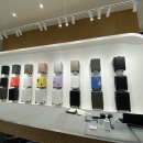 화이트캐빈 이미지