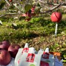 오시롬 농장 이미지