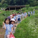 푸른숲유치원 이미지