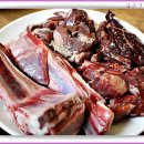 화끈한갈매기 이미지