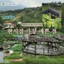 11545-05-01-23 | 이거 보려고 1년 기다렸어요 산청 수선사 연꽃, 목수국 오늘 방문 후기