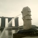 언니들 나중에크면 싱가포르 꼭 가봐 최고야 이미지