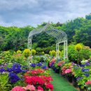 수국정원 이미지