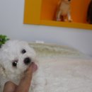 원주브리딩 이미지