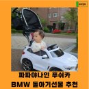 파파야나인 푸쉬카 bmw 돌아기선물 6개월 사용후기