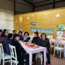 신바람농장 이미지