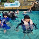 봉곡태권도장 이미지