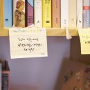금능리[북] 네이버블로그
