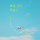 해안약국 맞은편 | ㅣ울릉도여행 독도여행ㅣ울릉도 갈만한곳 총정리.zip