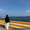 스윗보목 | ✈제주도 3박4일 여행(4일차 동백부엌, 스윗섬, 공항근처 비행기포토존 꿀팁, 기념품 후기, 여행계획표...