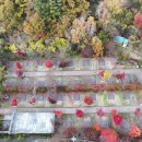 도학야영장 이미지