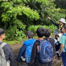 하례초등학교 이미지