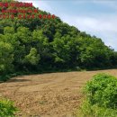 장현2리 마을회관 이미지