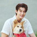 털뭉치 이미지
