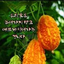 사랑타아오르는불금 이미지